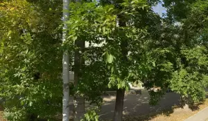 Фотография НИКА 5