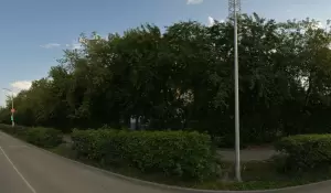 Фотография Парус 4