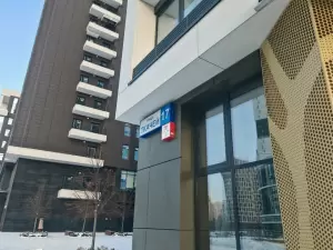 Фотография Case law 2