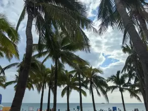 Фотография Юркофф 2